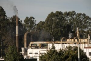 Como reduzir perdas industriais e otimizar custos
